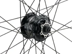 Mountain Alivio Disc 6-Loch DT Swiss 466d 29" Laufradsatz -Fahrradkomponenten Geschäft 399626