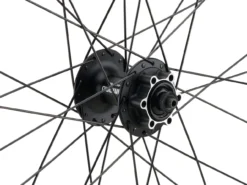 Mountain Alivio Disc 6-Loch DT Swiss 466d 29" Laufradsatz -Fahrradkomponenten Geschäft 399633